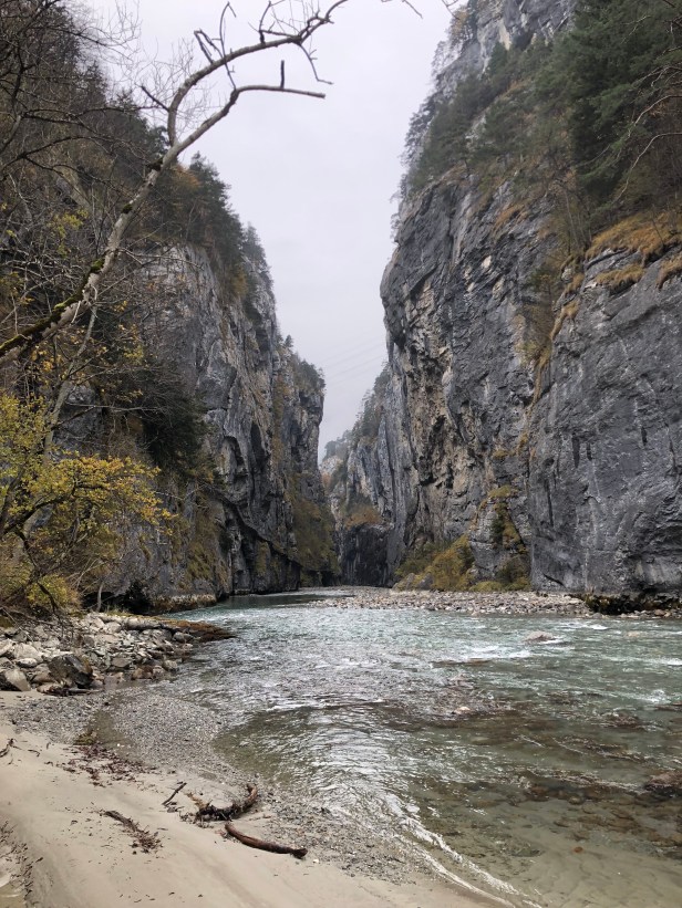 MGiDmTS8RIOfkXZ2I21XKg